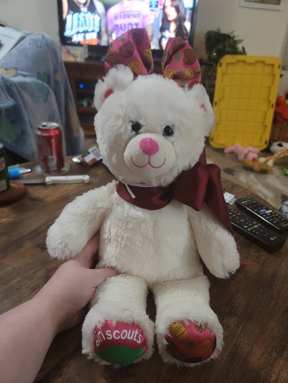 Girl Scouts Build A Bear